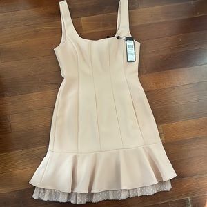 Blush pink BCBG dress